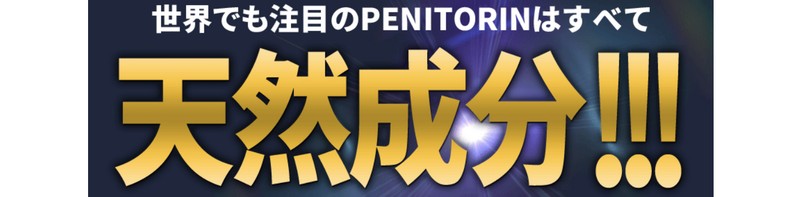 �y�j�g�����iPENITORIN�j���T�C�g